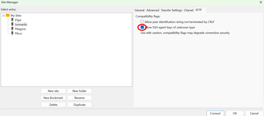 ../_images/filezilla2.png