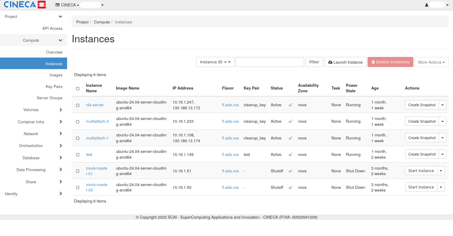 ../../../_images/openstack_instances_overview.png